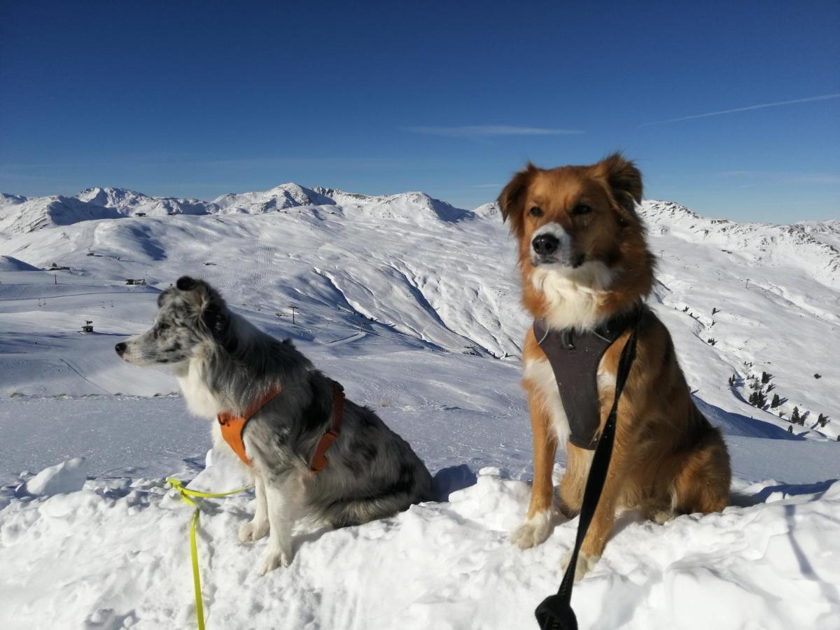 Apartment Hohe Tauern Bramberg am Wildkogel Εξωτερικό φωτογραφία