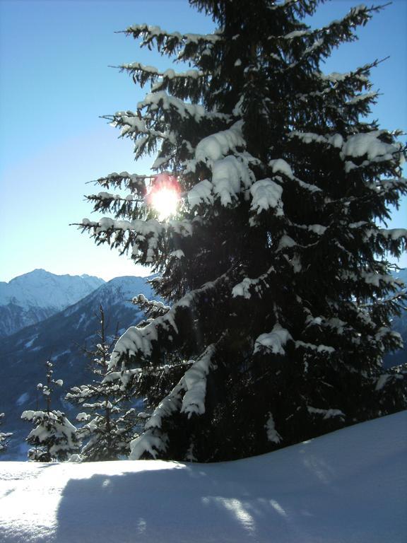 Apartment Hohe Tauern Bramberg am Wildkogel Εξωτερικό φωτογραφία